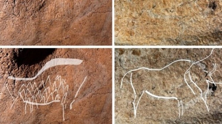 Рисунки на 14 000 години откриха в испанска пещера
