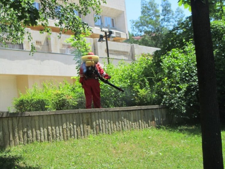 И в община Баните пръскат срещу кърлежи и бълхи