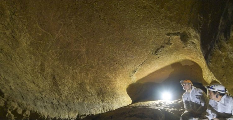Рисунки на 14 000 години откриха в испанска пещера