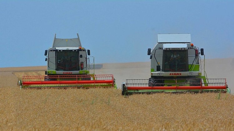 Прогнози за световната консумация на храни и цените им през следващите 10 години