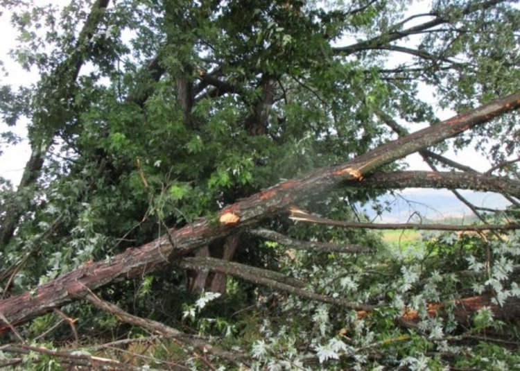 Ураганна буря връхлетя Гоце Делчев, нанесе много щети 