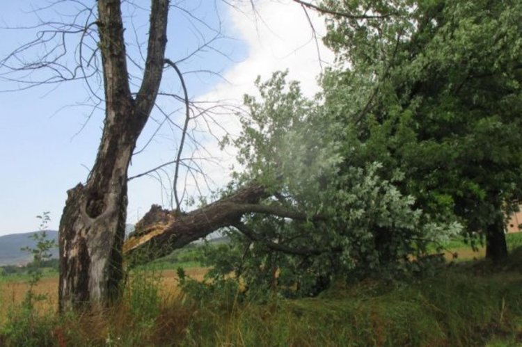 Ураганна буря връхлетя Гоце Делчев, нанесе много щети 