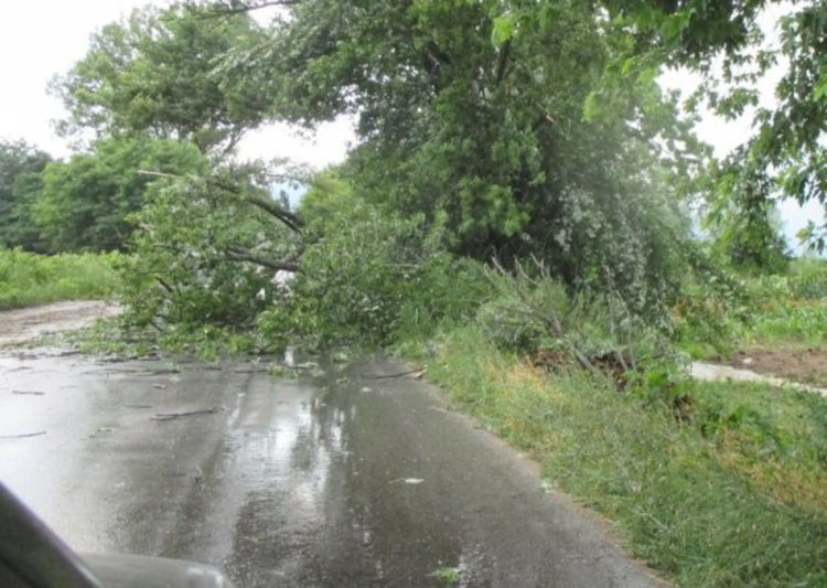 Ураганна буря връхлетя Гоце Делчев, нанесе много щети 