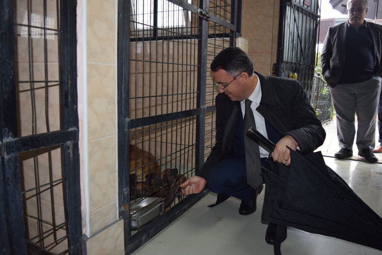 Кметът в приют в Бурса