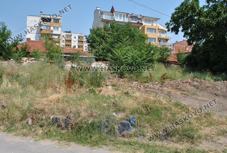 Хасковлии: Запустял общински парцел стана развъдник на змии и кърлежи