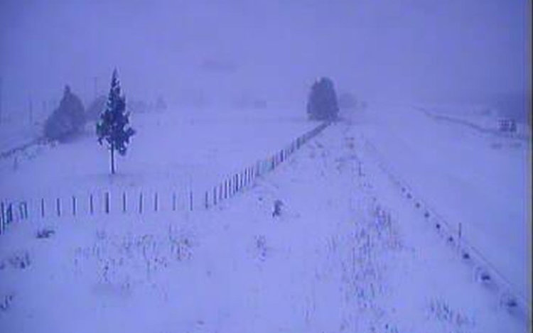 Снежна буря блокира Нова Зеландия 