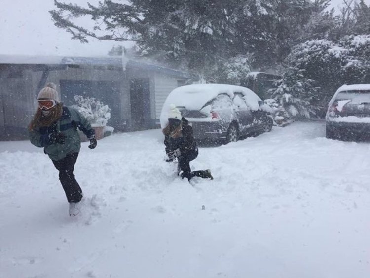 Снежна буря блокира Нова Зеландия 