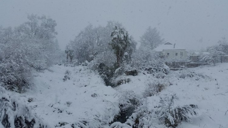 Снежна буря блокира Нова Зеландия 