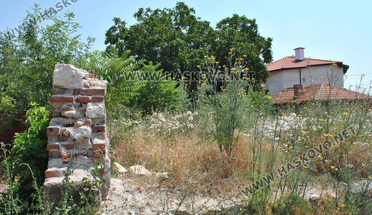 Хасковлии: Запустял общински парцел стана развъдник на змии и кърлежи