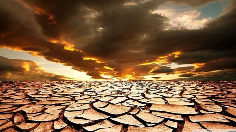 Учени: По-малко родени деца ще намалят глобалното затопляне