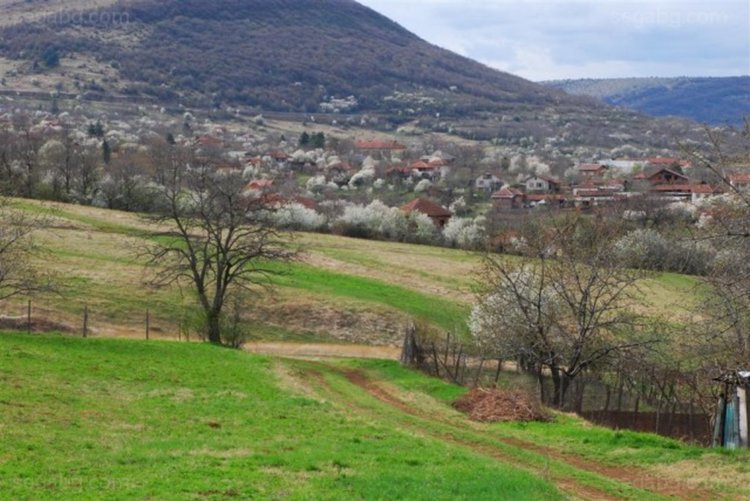 Ограниченията граждани на ЕС да купуват земи у нас отпадат