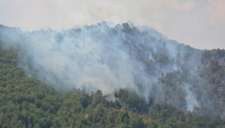 Стотици хора гасят големия пожар край Стара Кресна