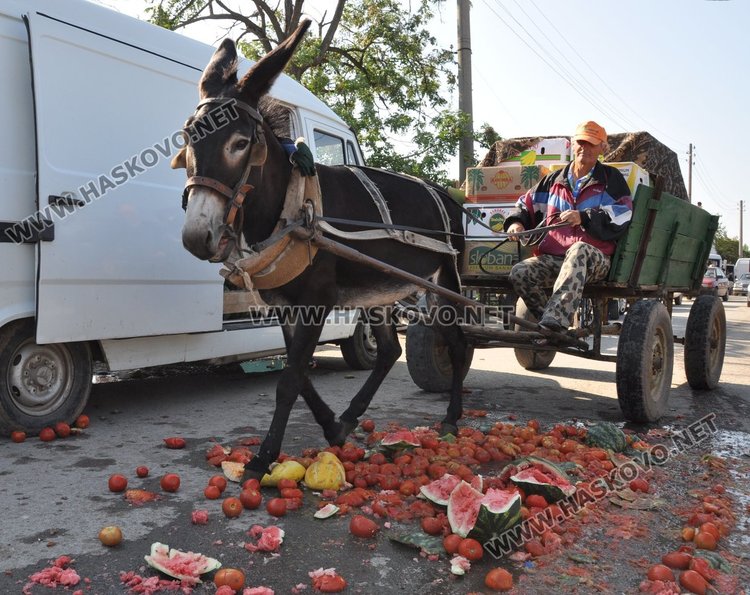 Производителите от Любимец изнемогват, искат задействане на държавни механизми