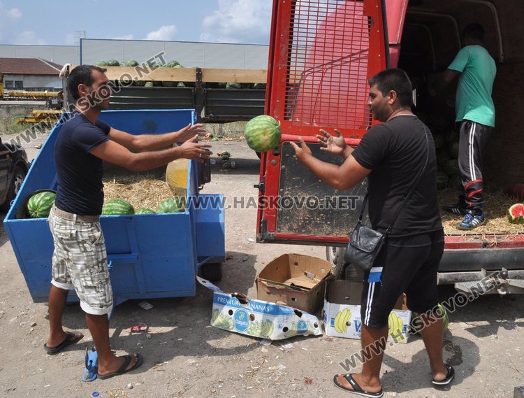 Производителите от Любимец изнемогват, искат задействане на държавни механизми