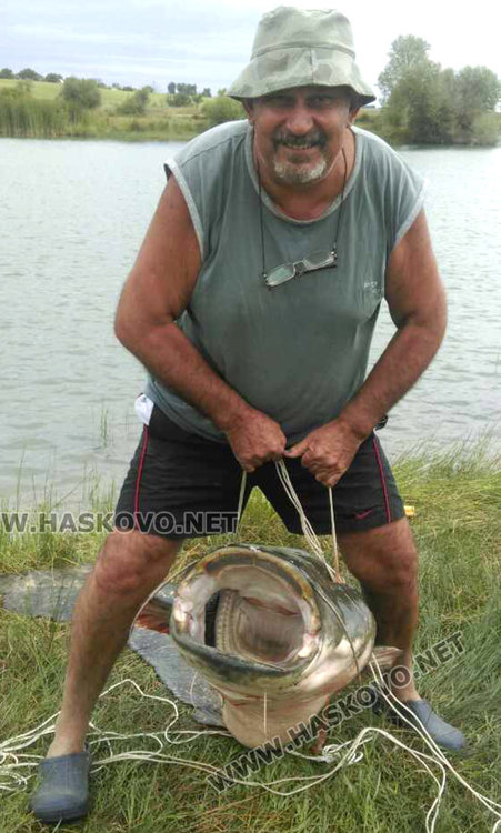 Измъкнаха 72-килограмов сом от язовира край Мандра