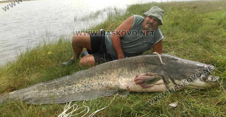 Измъкнаха 72-килограмов сом от язовира край Мандра