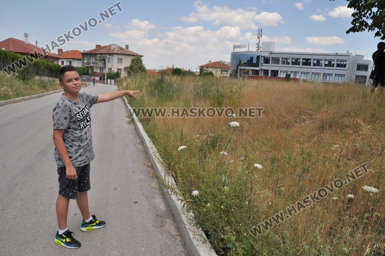 Читатели: Край пътя за Животинския пазар е свърталище на змии