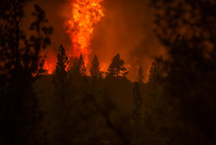 Не стихват горските пожари в Канада и Калифорния