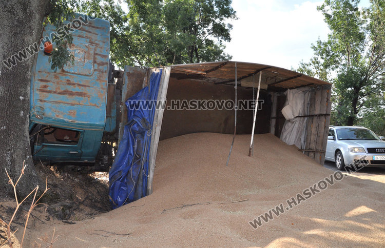 Камион се заби в дърво и се обърна на пътя, 10 т жито на земята