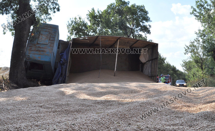 Камион се заби в дърво и се обърна на пътя, 10 т жито на земята