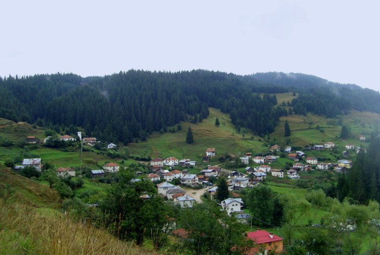 Две села потресени от трагедия. Дърво премаза горски работник 