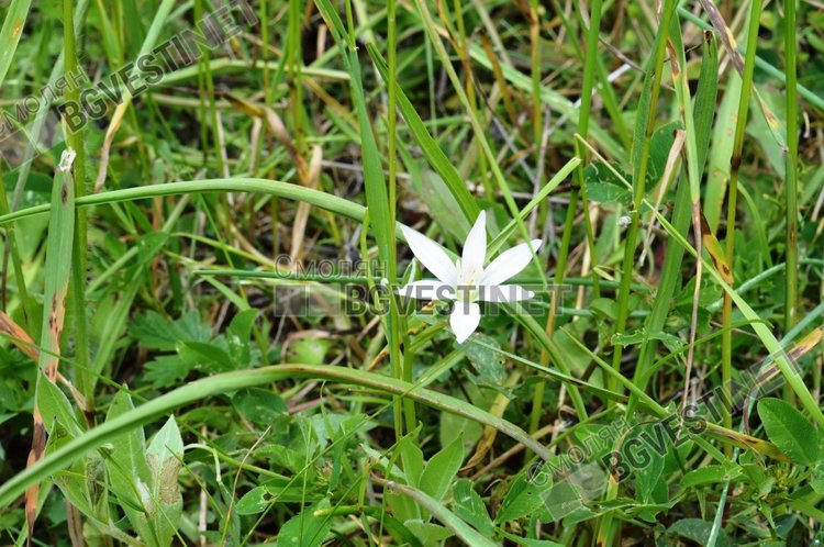 Слънчево и горещо ще е днес, температурите скачат до 37 градуса