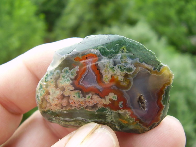 Родопите - райската цветна каменна градина на България