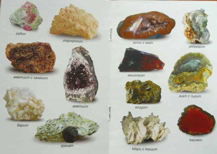 Родопите - райската цветна каменна градина на България