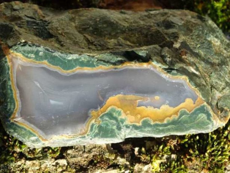 Родопите - райската цветна каменна градина на България