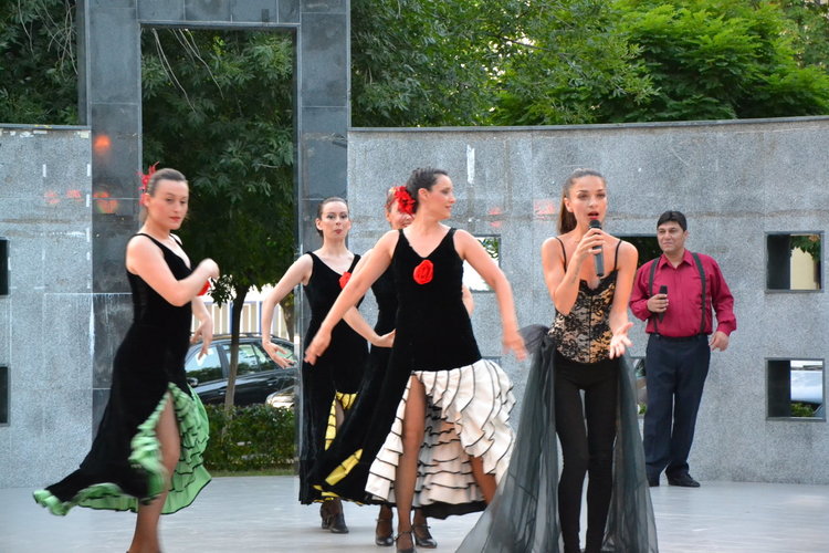 Със спектакъл беше открита осмата международна среща на момчилградчани