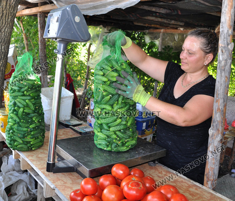 Земеделец край Конуш: Бутам навеса, кося корнишоните! Да си внасят от Китай