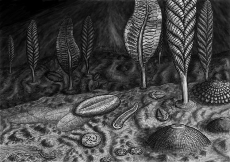 Едиакариански организми. Никой не знае какъв цвят са били тези понякога кошмарно изглеждащи създания, нито водата, в която са живели