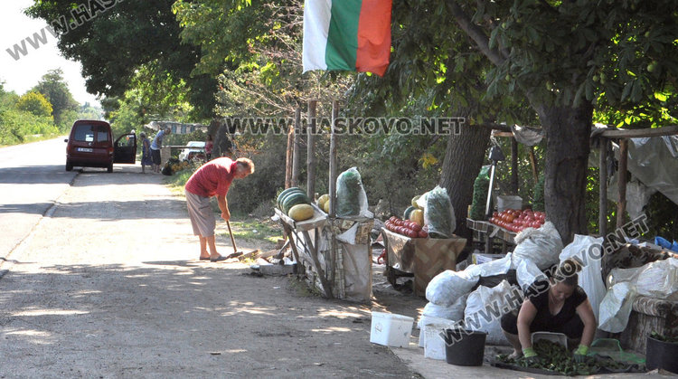 Земеделец край Конуш: Бутам навеса, кося корнишоните! Да си внасят от Китай