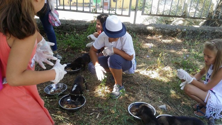Деца заделиха пари от закуските си,за да нахранят кученцата в приюта „Дай лапа”