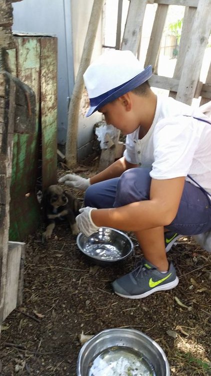 Деца заделиха пари от закуските си,за да нахранят кученцата в приюта „Дай лапа”