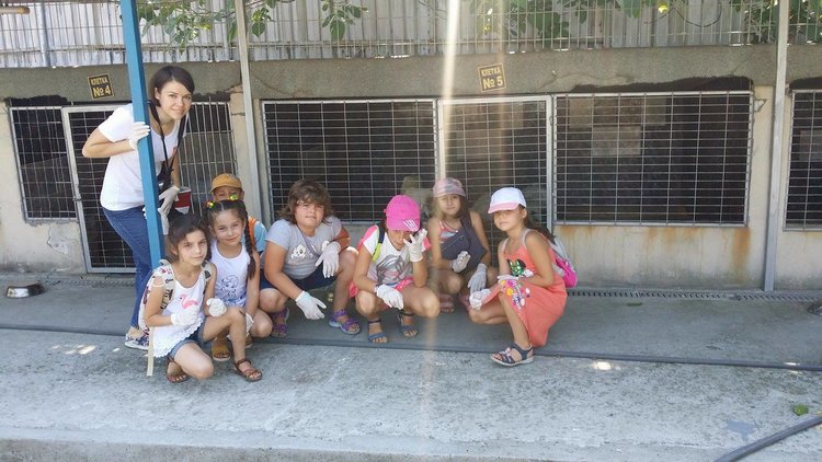 Деца заделиха пари от закуските си,за да нахранят кученцата в приюта „Дай лапа”