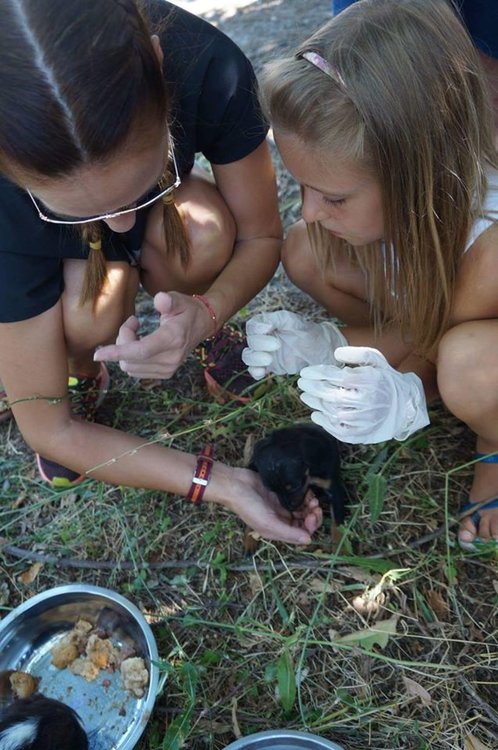 Деца заделиха пари от закуските си,за да нахранят кученцата в приюта „Дай лапа”