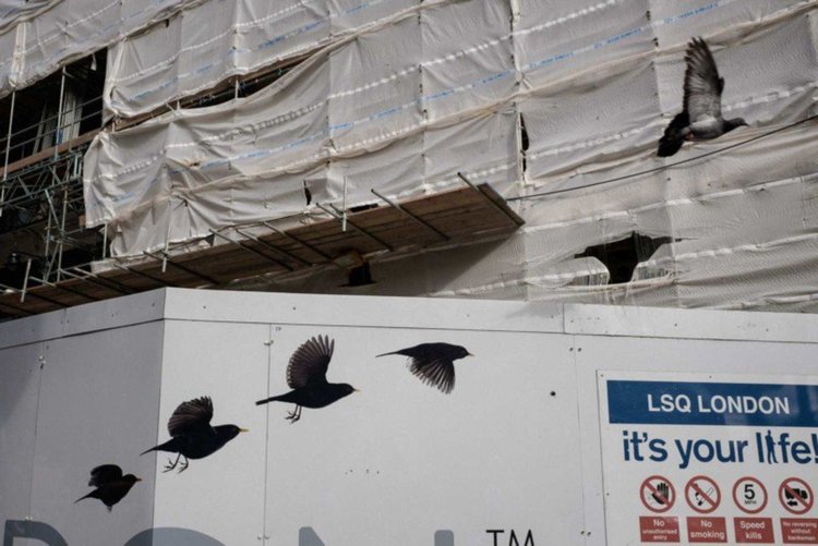 Pau-Buscató / EyeEm - The Street Photographer