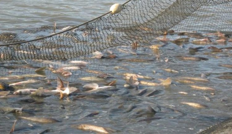 Мощен удар по бракониерите, проверени са „Студен кладенец“ и „Кърджали“