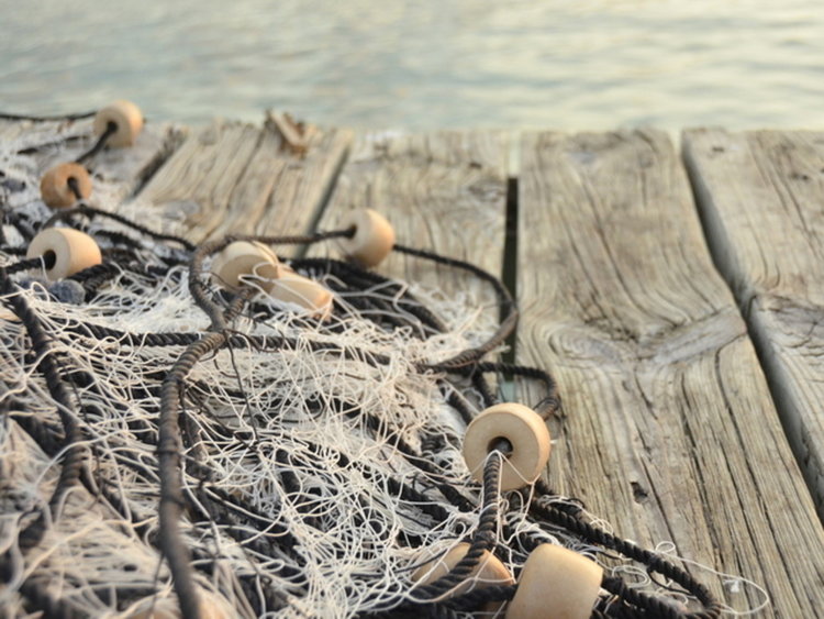 Удар по бракониерите: Откриха рибарски мрежи в микроязовир 