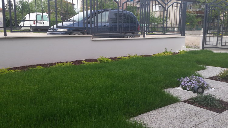 Ден на градинаря: Хасковски градини с райграс, домати и билки