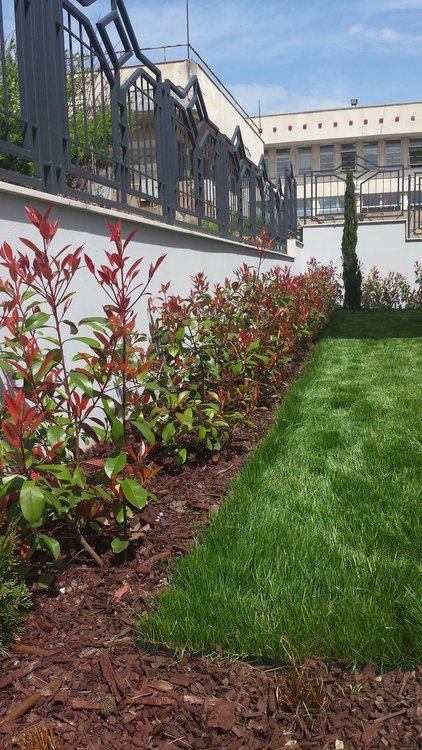 Ден на градинаря: Хасковски градини с райграс, домати и билки