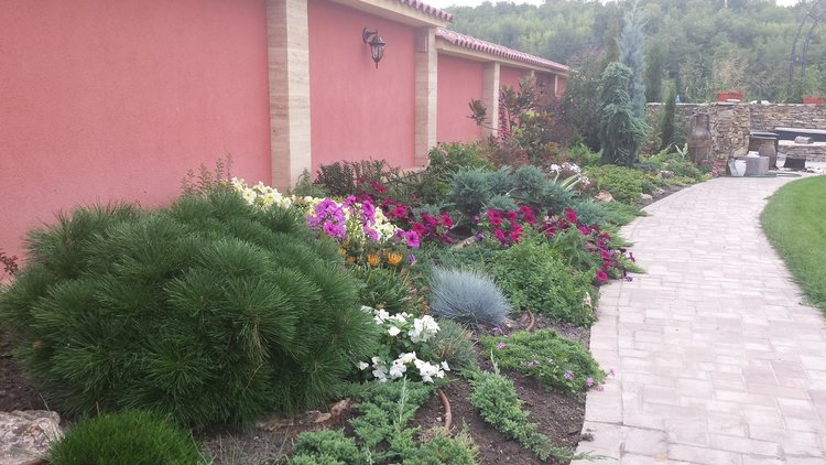 Ден на градинаря: Хасковски градини с райграс, домати и билки