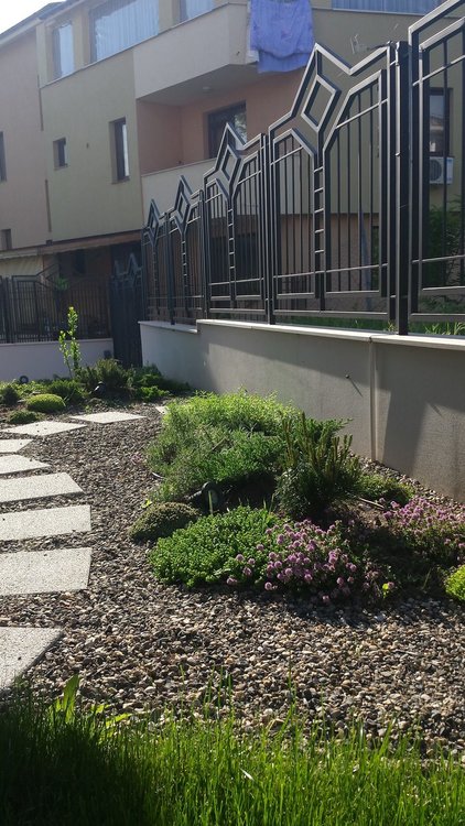 Ден на градинаря: Хасковски градини с райграс, домати и билки