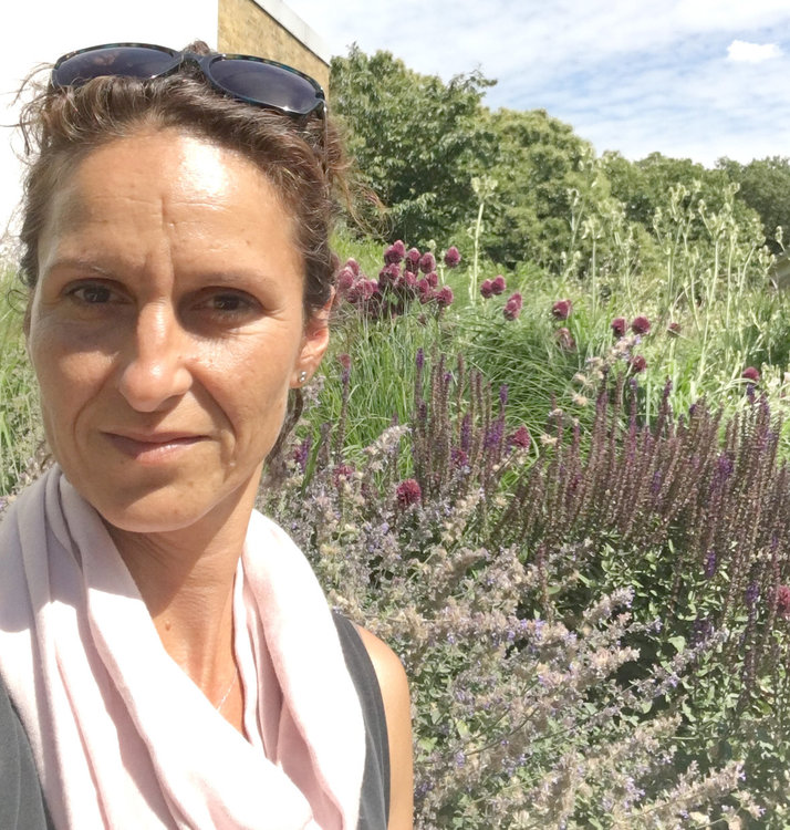 Ден на градинаря: Хасковски градини с райграс, домати и билки