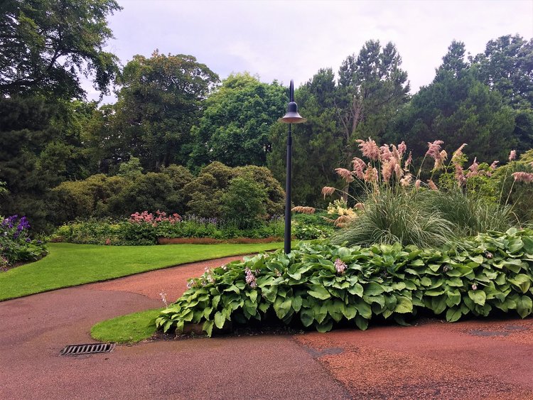 На разходка в градината