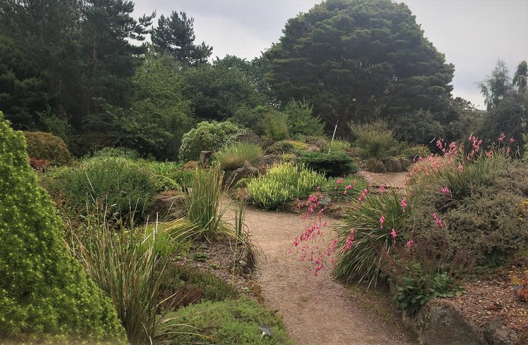 На разходка в градината