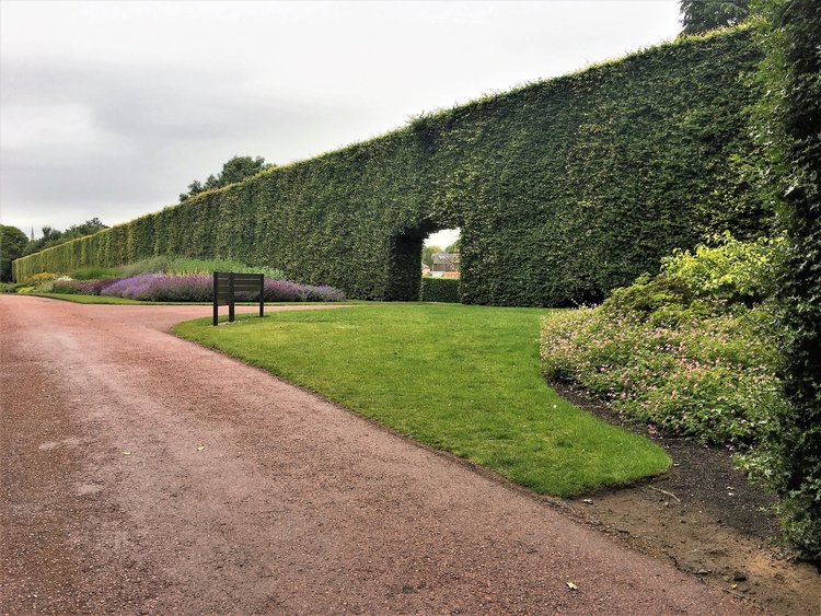 На разходка в градината