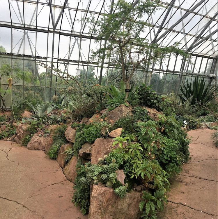 На разходка в градината