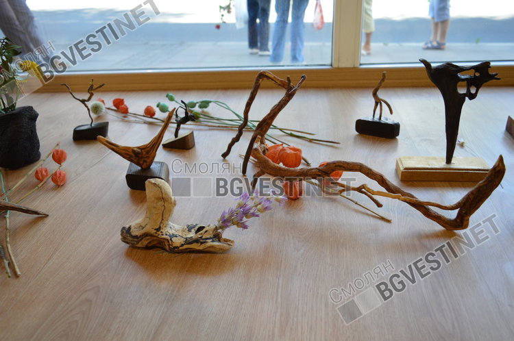 Елена Добрева-творец, планинар и  учител по съдба откри изложба с "душа"